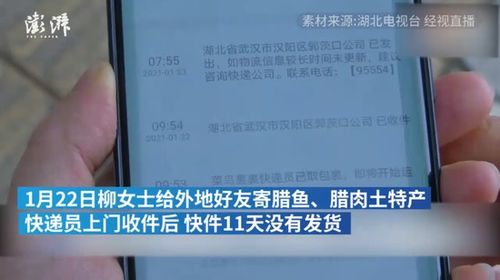 武汉特产“旅途中”遇阻，本地与异地代缴费服务成破局关键